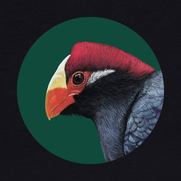 Violet turaco by Mikhail Vedernikov